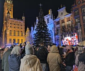 Gdańska choinka rozbłysła. Zobaczcie nasze zdjęcia!