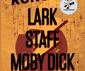 Potrójne rockowe uderzenie w Piwnicy „Przepraszam”. Zagrają Lark, Staff i Moby Dick