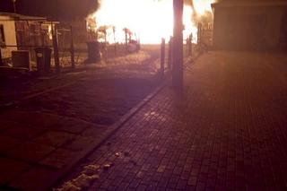 Sąsiad spalił mi gołębie, sąd go nie skazał