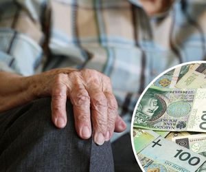 To najczęstsze powody odmowy renty wdowiej. ZUS przypomina: od decyzji można odwołać się do sądu