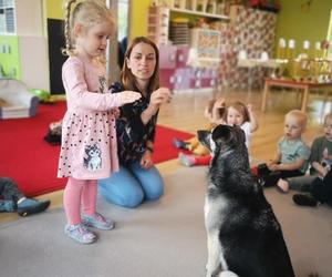 Dogoterapia w Łodzi