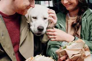 Zaskakujące odkrycie naukowców. Co wspólnego mają ludzie z labradorami?