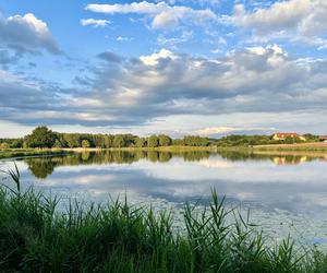 Szukacie ciszy i spokoju nad wodą? Zalew Umer to świętokrzyska oaza