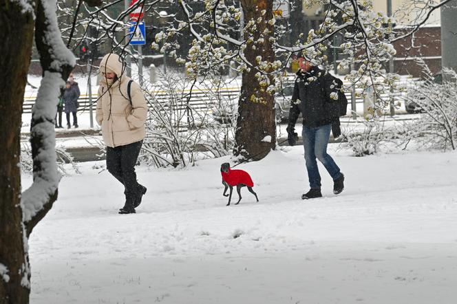 Śnieżny Szczecin 