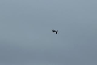 Sterowiec nad Koszalinem