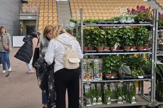 Festiwal Roślin znów zachwycił bydgoszczan! Setki gatunków i wyjątkowa atmosfera