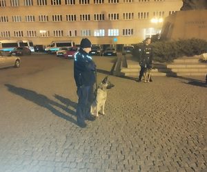 Walczymy o Śląsk i o przemysł, żeby nie umarł