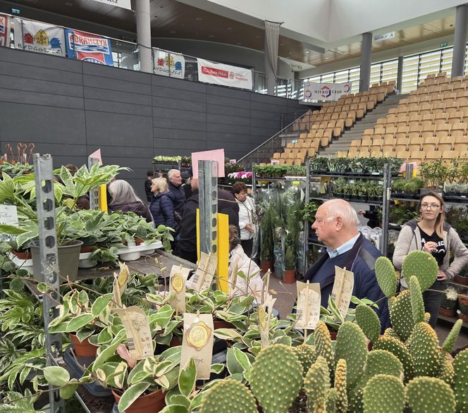 Festiwal Roślin znów zachwycił bydgoszczan! Setki gatunków i wyjątkowa atmosfera