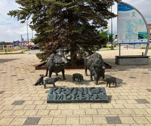 Krynica Morska to popularne miejsce na urlop. Jakie sątu ceny?