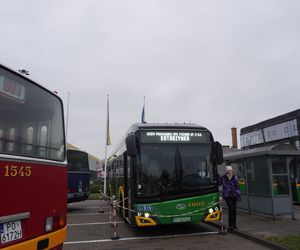 Katarzynki 2024 - wystawa autobusów przy Galerii Panorama