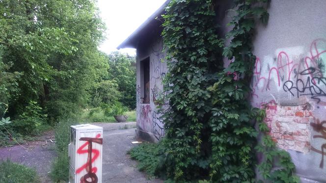 Dworzec Toruń Północny czeka na lepsze czasy. Obecnie to niszczejąca melina