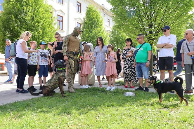 Piknik patriotyczny i koncert „Polskie Tańce Narodowe i Regionalne” na pl. Litewskim w Lublinie