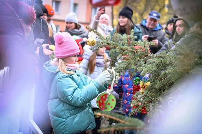 Częstochowa już przygotowana na święta. Iluminacje zapierają dech w piersiach ZDJĘCIA