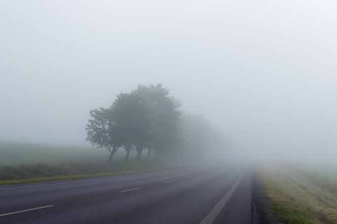 OSTRZEŻENIE IMGW: FATALNE warunki na drogach! Będzie bardzo MGLISTO, na tym jednak nie koniec!