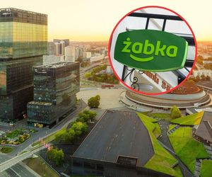 Miasta w Śląskiem z największą ilością Żabek. Liczby powalają