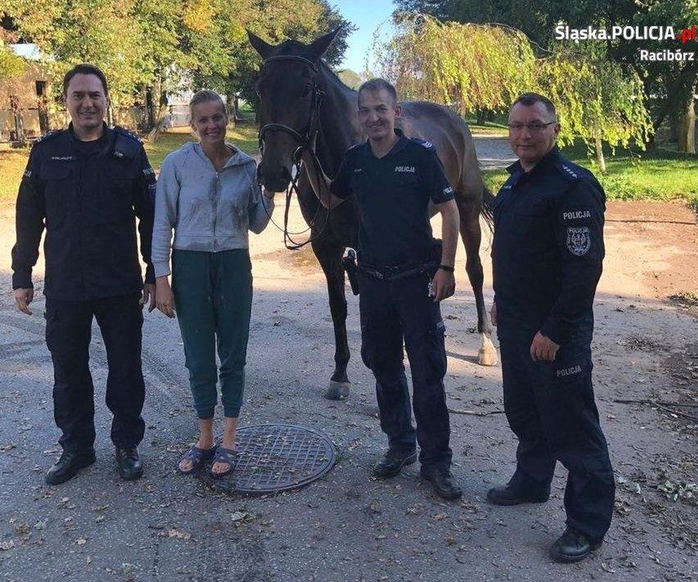 Policjanci wyciągnęli konia z Odry. Nie mógł się wydostać. Brawurowa akcja!