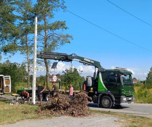 Grochowe. Troje nastolatków zginęło w wypadku. Uderzył w nich nietrzeźwy kierowca [ZDJĘCIA].