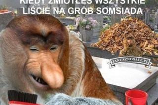 Najlepsze memy na Wszystkich Świętych. Uśmiejesz się do łez 