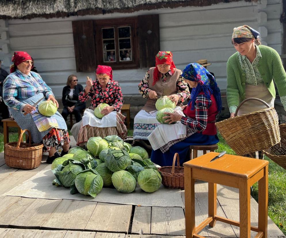 Obieraczki kapuściane w Muzeum Wsi Lubelskiej