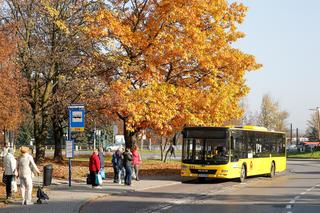 Autobusy napędzane gazem, a już wkrótce - hybrydowe. PKM Katowice inwestuje w nowoczesność