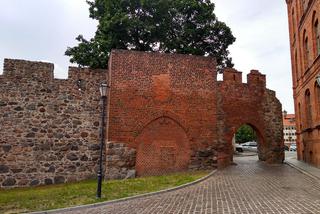 Zamek krzyżacki w Toruniu