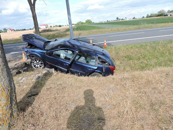 Groźny wypadek na DK 91! Pięc osób poszkodowanych, w tym czworo dzieci! [ZDJĘCIA]