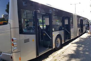 Pierwszy kurs autobusu przegubowego w Grudziądzu