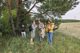 Akcja na polu, gdzie znaleziono Wampirkę z Pnia. Młodzi chodzili z detektorami, niedługo wracają tam archeolodzy