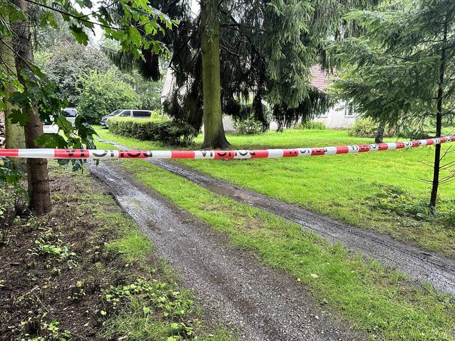 Zabójstwo pod Iławą