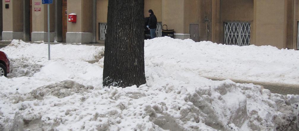 Inwalidzi odśnieżą miasto!