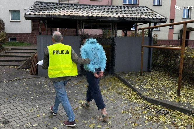 Seryjny podpalacz śmietników z Gliwic złapany