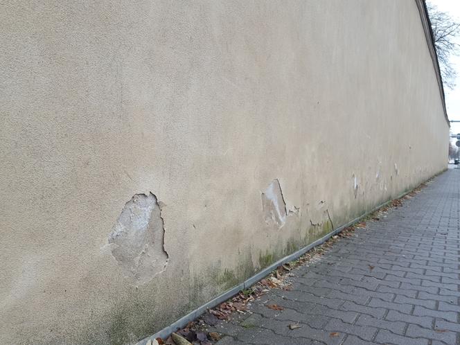 Z muru zabytkowego lapidarium w Lesznie znów odpada tynk