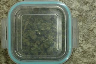 Włocławek narkotyki