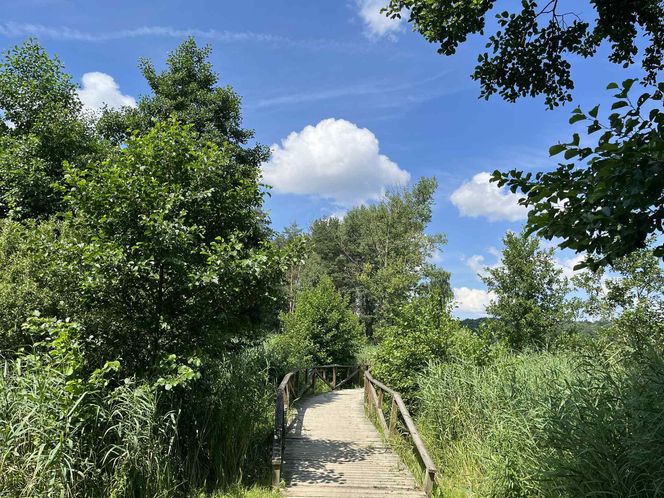 Jezioro Nowogardzkie
