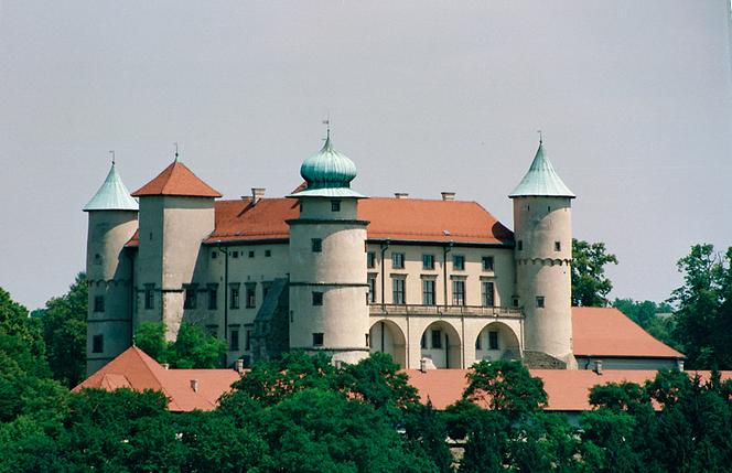 Zamek w Wiśniczu
