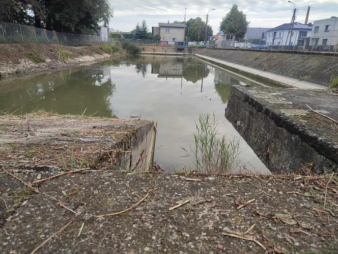 Wypompowali wodę ze zbiornika na Gronowie