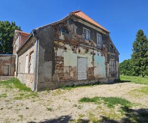 Było, zniknęło i... powróciło. Zobacz magiczne jezioro Track na obrzeżach Olsztyna [ZDJĘCIA]