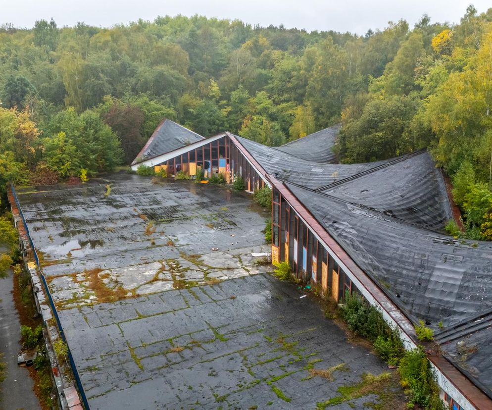 Opuszczony pawilon Ośrodka Postępu Technicznego (OPT) w Chorzowie, projektu Jerzego Gottfrieda, z charakterystycznymi spadzistymi dachami i fasadami z dużymi przeszkleniami. Obiekt otacza jesienny las, a betonowy plac przed budynkiem jest popękany i porośnięty mchem. Więcej o twórczości architekta na Architektura Murator Plus.