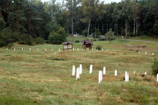 Czy Wikingowie i Słowianie żyli na jednym terenie? Badacze chcą to sprawdzić