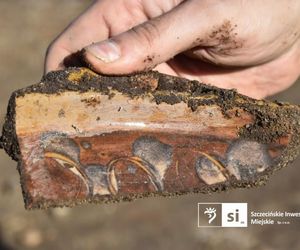 Odkrycia archeologiczne przy ul. Zbożowej