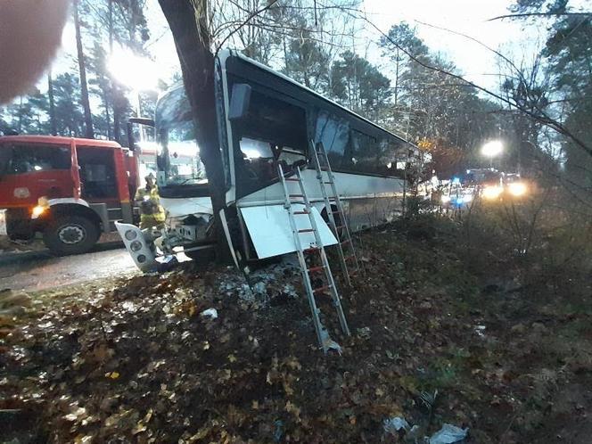 Szkolny autobus uderzył w drzewo
