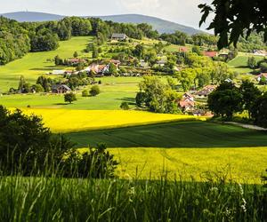 Najmniejsze powiaty Dolnego Śląska. Sprawdź, ile mają mieszkańców 