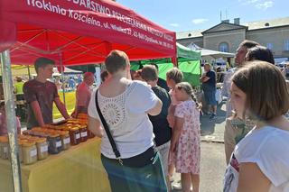 XIII Kaliskie Miodobranie 