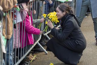 Książę Harry i Meghan Markle