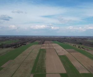 Najpiękniejsza wieś województwa śląskiego. Nazwę nosi od grusz rosnących przy polach