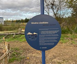 Serenity Park w Mysłowicach to nowe miejsce wypoczynku na Śląsku