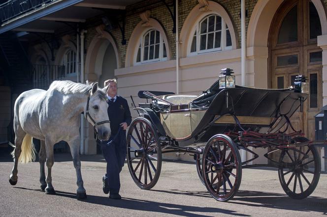 Czym Harry i Meghan pojadą do ślubu