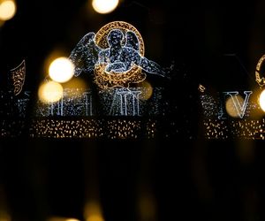 Królewski Ogród Światła w Wilanowie