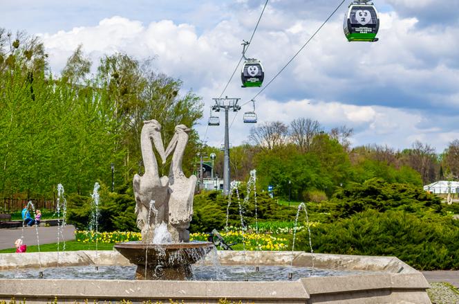 Park Śląski chce rozbudować „Elkę”