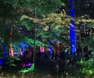 Olsztyn zamienił się w magiczną krainę. Park Świateł przyciągnął tłumy!